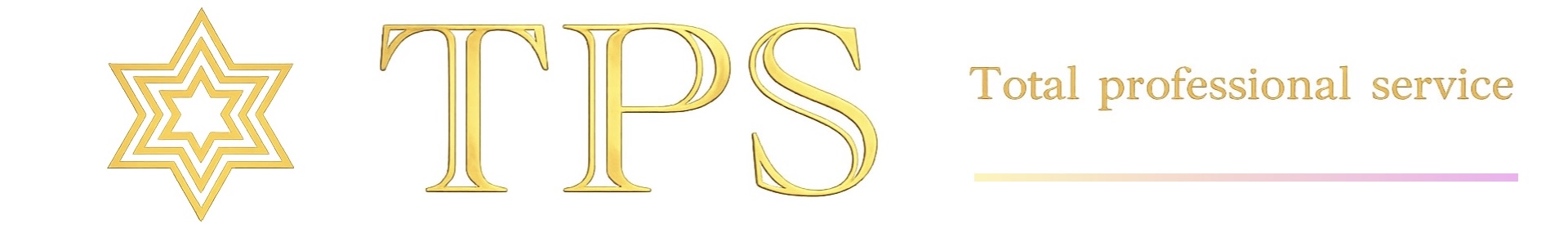 TPS -Total Professional Service-
